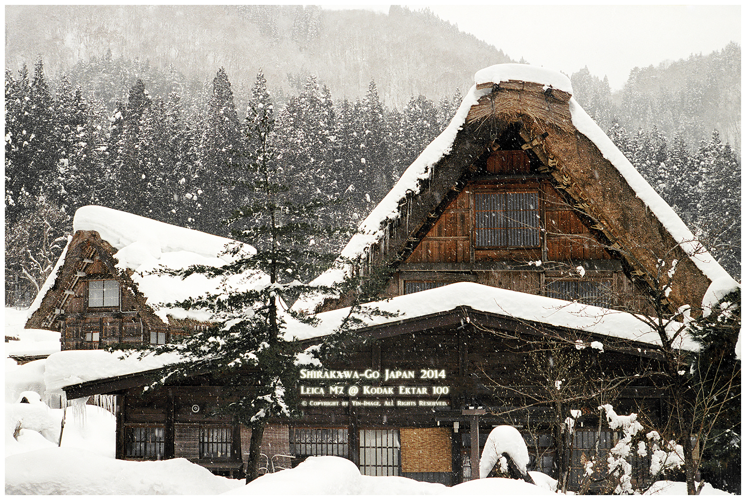 Shirakawa 18